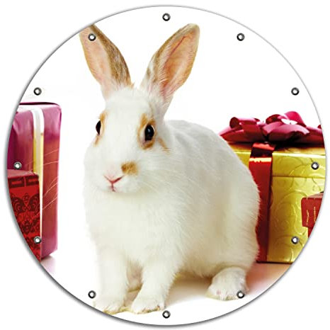 Wallario rundes Outdoor-Poster für Garten oder Balkon Süßes Kaninchen mit bunten Geschenken, Motivbanner 90 cm Durchmesser