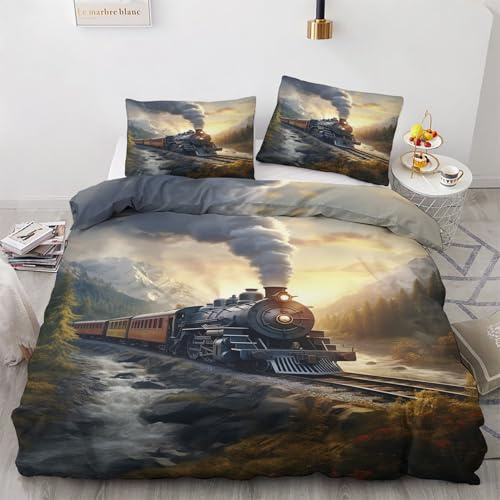 Generisch Dampflok Deko - Dampflok Bettwäsche 155x220 Winter, Dampflokomotive Bettbezug 3teilig mit 2 Kissenbezug 80x80, Weiche Mikrofaser Winterbettwäsche mit Reißverschluss V*&256