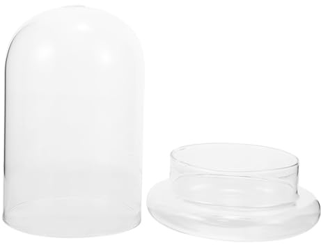 Uonlytech Botella de Vidrio Transparente para Terrario Grande con Cúpula y Abertura Amplia Recipiente Decorativo para Micro Paisajes y Plantas Naturales de Interior