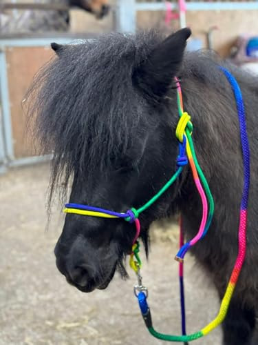 Equipride Seilhalfter mit Führstrick Regenbogen farbig Größe Full-Shetland (Pony)