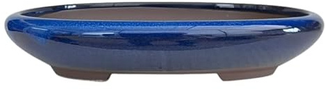 Genérico BIOMATA Maceta Bonsai Ceramica para Kifu 22,8x17,3x4,2 cm | Tiesto Ovalado | Maceta para Bonsai Resistente a Cualquier Clima | Tiesto Ceramica con Drenaje (Azul)
