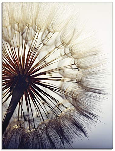 ARTland Wanddeko Glasbilder Wandbild Glas Bild einteilig 60x80 cm Hochformat Natur Botanik Blumen Pusteblume Blüten Frühling Modern T4RE