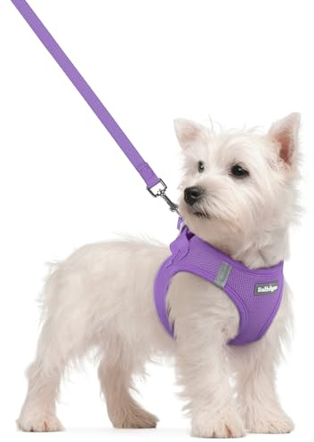 rabbitgoo Dog Harness Small Dog and Leash Set, Step-in Soft Mesh Puppy Harness with Reflective Strips, Lightweight Breathable Pet Vest for Walking Training, Purple, S