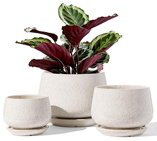 LE TAUCI Plant Pots, 10+13+16 cm Planters, Set of 3 Ceramic Planters with Drainage Hole and Saucer, Indoor Plant Pot with Hole Mesh Pad, Gifts for Mom, Reactive Glaze Beige