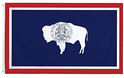Flag 3x5 Ft (No Flagpole) 3x5FT Wyoming Flag State Bison Seal Native Decor Man Cave Dorm Garage WY USA