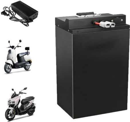 HJGHY Batería de 60 voltios para Motocicleta eléctrica, baterías de Litio de 48 V, 60 V, 72 V, 20 Ah, 35 Ah, 65 Ah y 80 Ah para triciclos, ciclomotores y Scooters con Cargador.