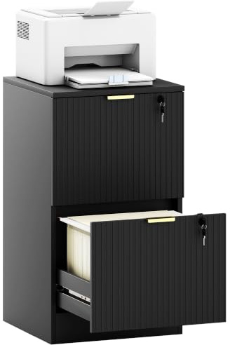 HOMCOM 2 Drawer Filing Cabinet Fluted Vertical File Cabinet Lock Black | Adjustable Hanging Rails, for A4 and Letter Size Files, Printer Stand with Storage