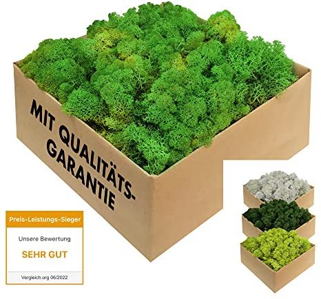 GJS Musgo islandés Natural conservado – auténtico Musgo Decorativo en 200g/500g/1kg/4kg para Cuadros de Musgo, Manualidades, decoración y terrarios (Verde Hoja, 1kg)