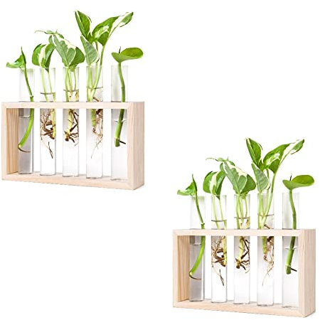 Griwiuiowe Pflanzen Vermehrungs Stationen, Pflanzen Terrarium mit HolzstäNder für Vermehrung Von Hydroponik Pflanzen Halter Haus Dekoration B