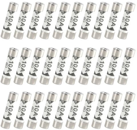 Lot de 30 fusibles en céramique de 10 A - Fusibles tubulaires résistants à la température pour prises domestiques et électriques