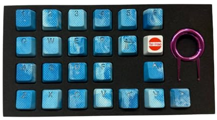 TAI-HAO Rubber Backlit Gaming Keycaps - 23 Keys - Divine Beasts (SEIRYU)