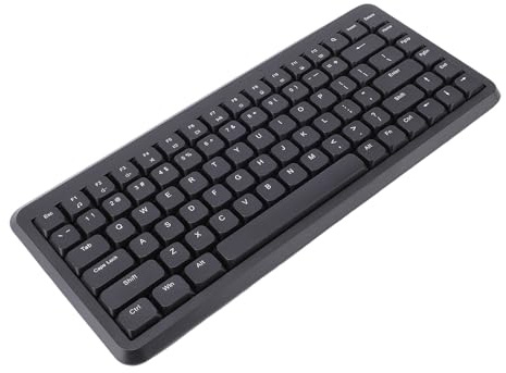 Bewinner Tastiera Bluetooth Wireless 2.4G, Tastiera Esterna Silenziosa a Grandezza Naturale da 105 Tasti con Tastierino Numerico, Tasti di Scelta Rapida Multimediali, Design con (BLACK)
