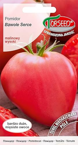 Verdica Herz des Ochsen Tomate Bawole Serce (Solanum lycopersicum) Samen – Außergewöhnlich große, fleischige Früchte mit Himbeerfarbe, ideal für die Ernte im Spätsommer (0,2 Gramm)