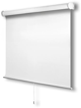 CHICOLOGY Roller Window Shades , Window Blinds , Window Shades for Home , Roller Shades , Window Treatments , Window Blinds Cordless , Door Blinds , Byssus White (Blackout), 22W X 72H