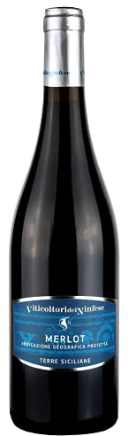Vino Rosso Merlot I IGP Terre Siciliane I 0,75 cl I 13,5% Vol I Con Sentori di Ribes e Mirtilli I Artigianale e Siciliano
