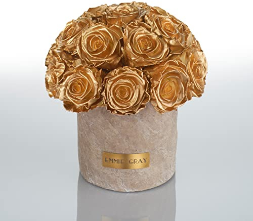 Solid Infinity Collection Golden Sand - Traumhafte Infinity Rosen, 1-3 Jahre haltbare Rosen, Betonvase mit echten, konservierten Rosen, edle Premiumrosen - Größe M (Gold)
