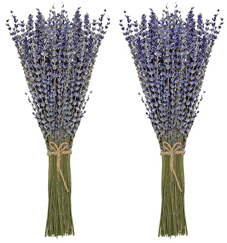 Timoo Dried Lavender Bundles 100 Natural Dried Lavender Flowers for Home Decoration, Photo Props, Home Fragrance, 2 Bundles Pack