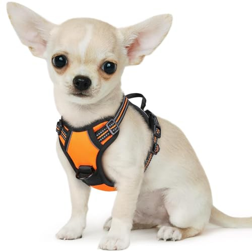 Eagloo Dog Harness Small Dog, No Pull Adjustable Vest with 2 Lead Clips | No Choke, Breathable Soft Padded, Reflective Strips, with Secure Buckles & Easy Control Handle for Walks , XS, Orange