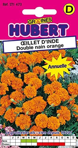 Graines d'Oeillet d'Inde Double Nain Orange - 1,5 grammes