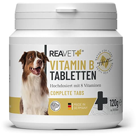 ReaVET Vitamin B Komplex Hund 120 Tabletten für bis zu 4 Monate - Vitamin B hochdosiert für Hunde mit Vitamin B1, B2, B3, B5, B6, B9, B12 I Für glänzendes Fell & Vitale Haut