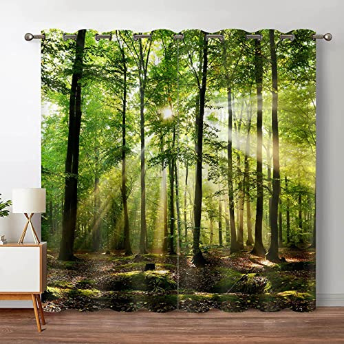 Skog Mörkläggningsgardiner Djungelträd Naturlandskap Fönstergardin Vardagsrum Sovrum Vattenfall Tryckt Gardin 132x183cmx2 (BxH)