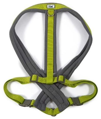 Ancol Viva Padded Dog Harness - Lime - Micro Fleece Reflective Adjustable Weatherproof Poly Weave Pet Training Accessory - M 41-53cm