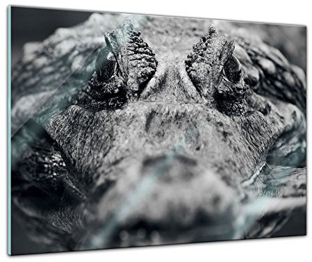 Glasbild - Krokodil - 80 x 60 cm - Deko Glas - Wandbild aus Glas - Bild auf Glas - Moderne Glasbilder - Glasfoto - Echtglas - kein Acryl - Handmade