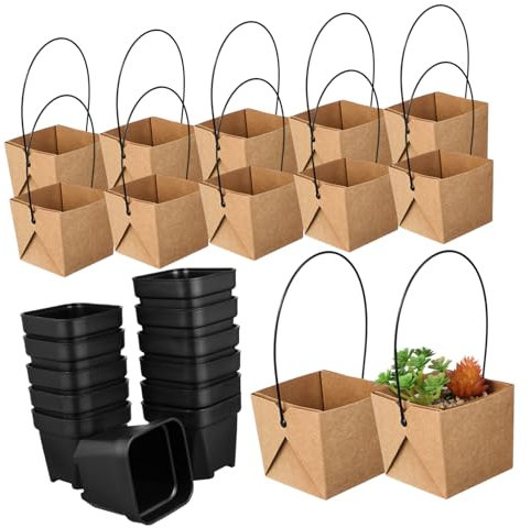 MINAOLULUS 12juegos Maceta De Papelería Kraft Mini Macetas para Suculentas Pequeñas De Plástico para Decoración Elegante y para Pequeñas para Flores y Jardinera para Suculentas