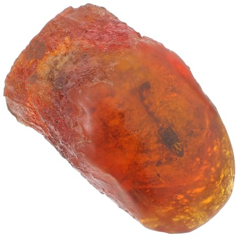Alipis Escorpión Fósil Portátil para Oficina y Hogar Especimen de Insecto de Resina en Piedra de Ámbar Natural, Adorno Decorativo Diseño Único y Sofisticado