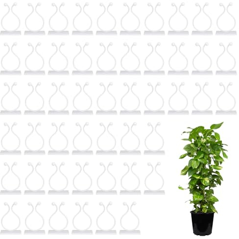 QYHON Pflanzenclips Groß 50 STK – Pflanzenclips Wand & Pflanzenhalter | Selbstklebende Pflanzen Clips Wand – ideale Wandbefestigung für Pflanzen & Pflanzenclips für Kletterpflanzen