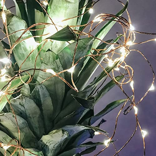 hellum LED-Lichterkette außen Tauperlen Cluster lichterkette Kupferkabel, 100 warmweiße LED beleuchtet 9,9m, Trafo mit Timer für Garten Balkon Terrasse Party Hochzeit Weihnachten <59lm 578454