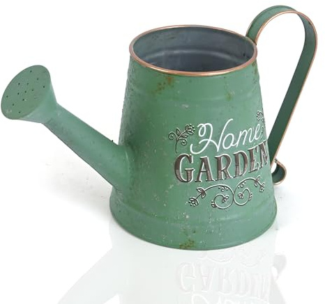 Z² BellaDecor Petit arrosoir vintage en métal pour plantes d'intérieur - Décoration de jardin galvanisée avec poignée et bec - Arrosoir de maison de campagne
