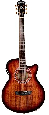 Washburn EA55G-A