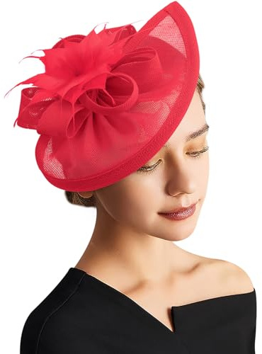 DRESHOW Fascinator Hüte für Damen Pillbox Hut mit Schleier Stirnband und Einer Gegabelten Clip Tea Party Kopfbedeckung