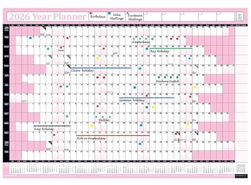 PlannerHead 2026 Wall Planner Baby Pink | Yearly Calendar 2026 for Students, Families, Businesses, Offices|UK & Ireland Bank Holidays|Unmounted & Unlaminated (Baby Pink, Large 49cm x 70cm - Folded)