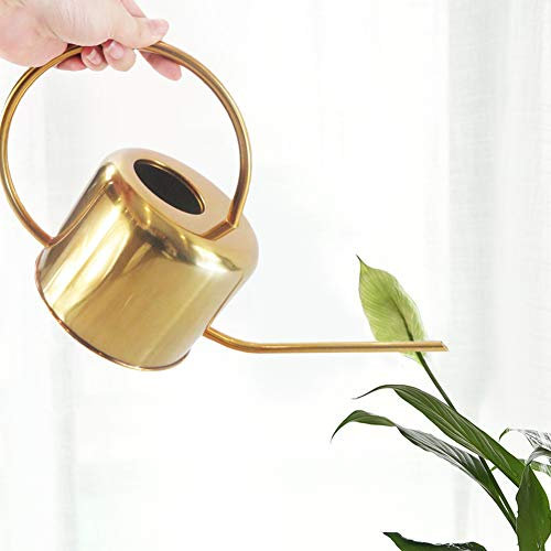 greatdaily 1.3L Gießkanne Edelstahl Elegantes Giesskanne| Haushalt Wunderschönen Giesskanne Fur Blume, Garten, Usw.