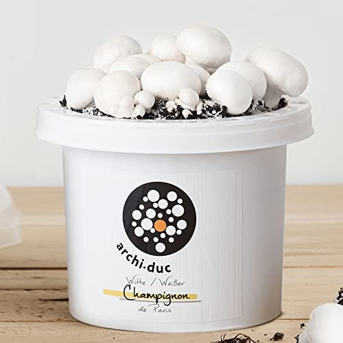 Mushroom Growing Kit | Grow Your Own Fresh White Button Mushrooms | Kitchen Garden Simple