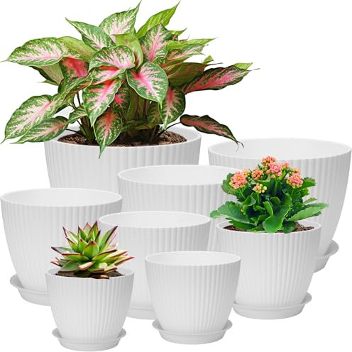 Juego de macetas de plástico, 8 unidades, maceta con agujero, posavasos redondos, macetas pequeñas para cactus, ideal para oficina, balcón, jardín, suculentas, blanco cactus