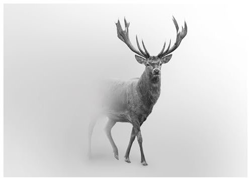 WallArena - Vlies Fototapete Hirsch 350x250 cm - Fototapeten - Tapeten - für Wohnzimmer Schlafzimmer - Vliestapete Wandtapete Tapete 3D Effekt- inkl. Kleister - Tiere Natur Tier