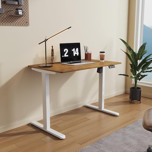 SONNI Elektriskt höjdjusterbart skrivbord, 100 x 60 cm, borstlös motor med 3 minnesfunktioner, anti-kollisionssystem och kabelhantering, ståsitsbord för hemmakontor, 60 kg lastkapacitet