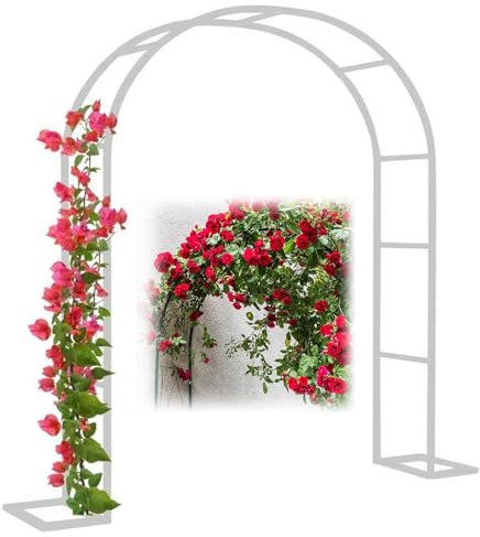 HFVUYAR Arco de jardín con Estructura de Acero, Resistente, para Rosas trepadoras, de 120 a 350 cm de Ancho, Ideal para Bodas, Color Negro, Blanco y Verde (Color: Blanco, tamaño: 180 x 220 x 25 cm)
