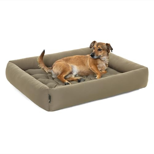 Pointer | Hundsäng med hundkudde – ortopedisk, tvättbar, bekväm (XXXL – 110 x 100 cm, beige)