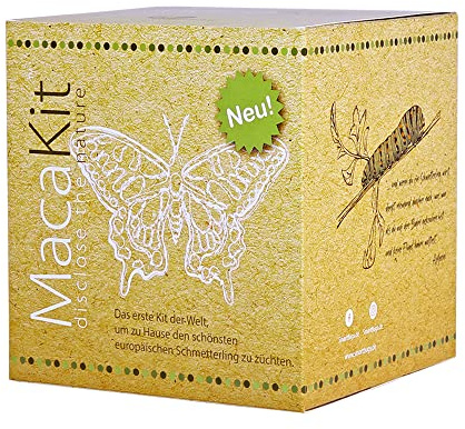 MacaKit , das Kit zum Züchten von Schmetterlingen der Machaon - Art zu Hause - pädagogisches Experiment, naturwissenschaftliche Lernsets für Kinder, Geschenkideen für Babys, Mädchen, Geburtstag