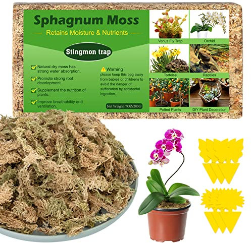 Sfagno Terriccio per Orchidee Terriccio Bonsai Sfagno per Piante Substrato per Orchidee Muschio Vivo Sfagno per Orchidee 200g ed Trappola Mosche Carta Moschicida