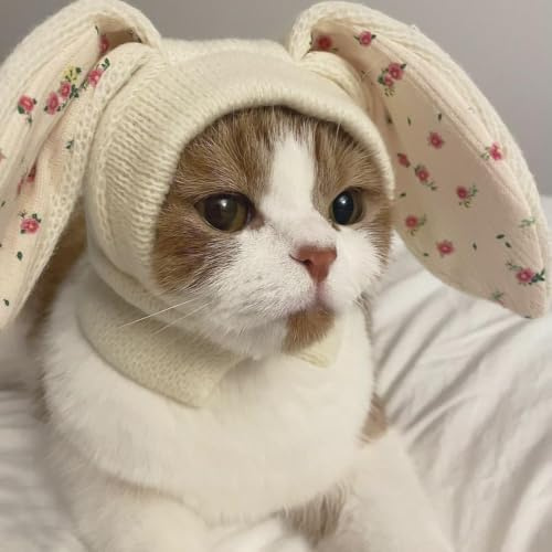 Rabbit Quiet Ears for Dogs, Dog Ear Muffs Noise Protection Knitted Dog Hats Pet Ears Warm Dog Ear Cover Winter Hat Dog Head Wrap Bunny Costume for Small Dogs Cats Pets (White, S)