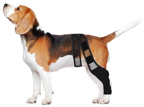 ULTECHNOVO Welpenbeinbandage zur Unterstützung und Schutz mit Verstärktem Design verstellbare aus Neopren und Mesh Stoff Verletzter Hunde Vorder und Hinterbeine im Alltag