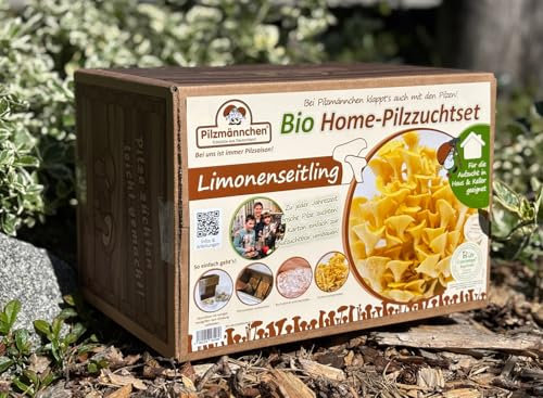 Limonenpilz Bio Home-Pilzzuchtset