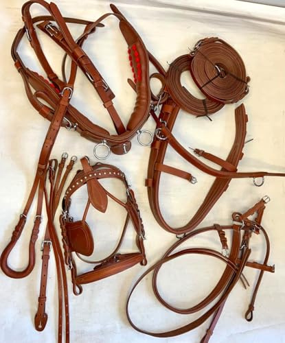 Juego de arnés de conducción para carro de nailon premium, marrón, equipo ecuestre completo con riendas y brida para poni, Cob, Full y Shetland (Cob)