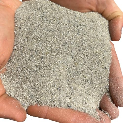 Fine Sand for Plants – Washed Horticultural Sand for Succulents, Cactus, Potting Mixes & Terrariums | Natural Silica Sand, Made in USA (2 Quarts, 6 lbs)