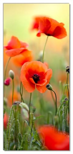 Wallario Selbstklebende Türtapete Mohnblumenblüten - Türposter 100 x 220 cm Abwischbar, rückstandsfrei zu entfernen
